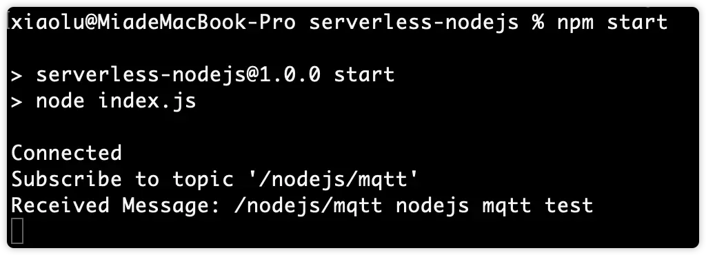 npm start console