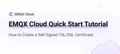 How to Create a Self-Signed TSL/SSL Certificate