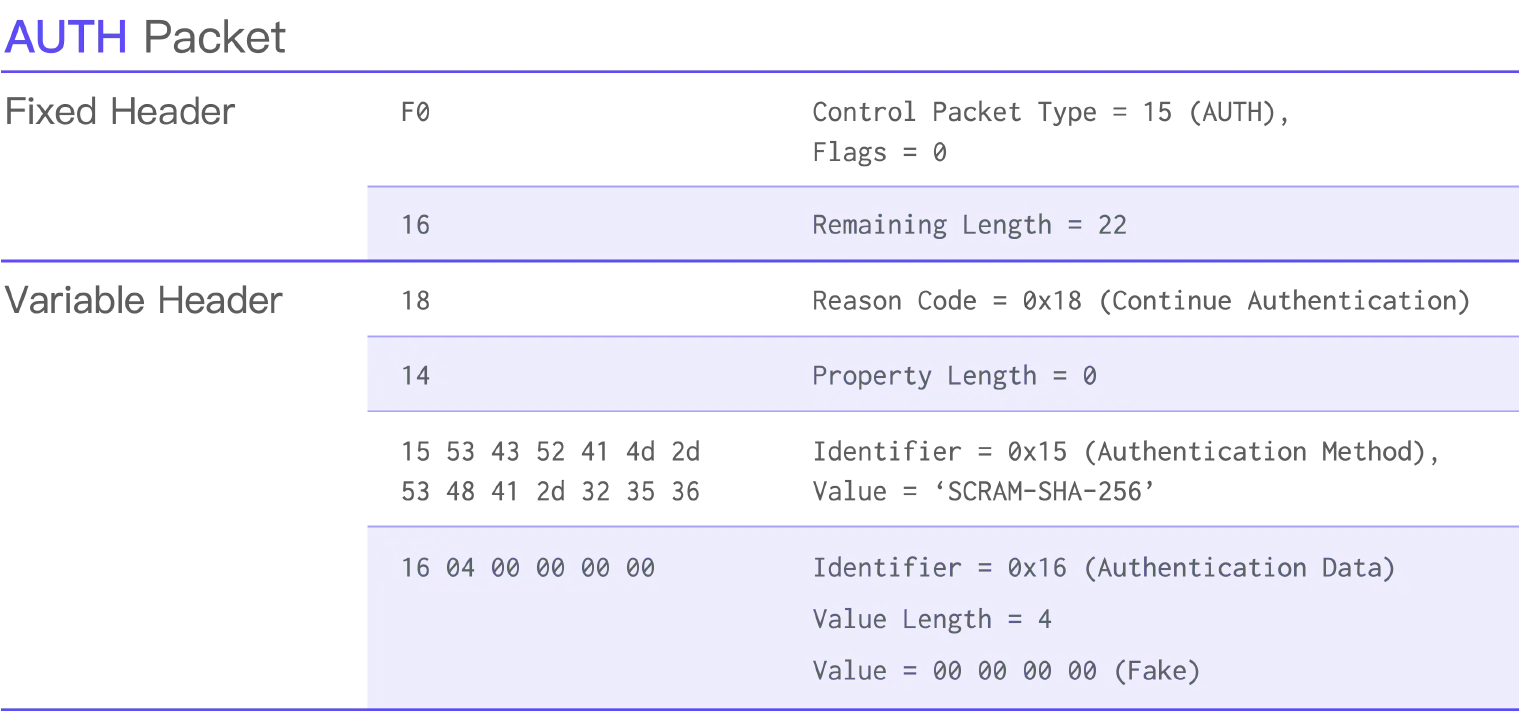 AUTH Packet.png