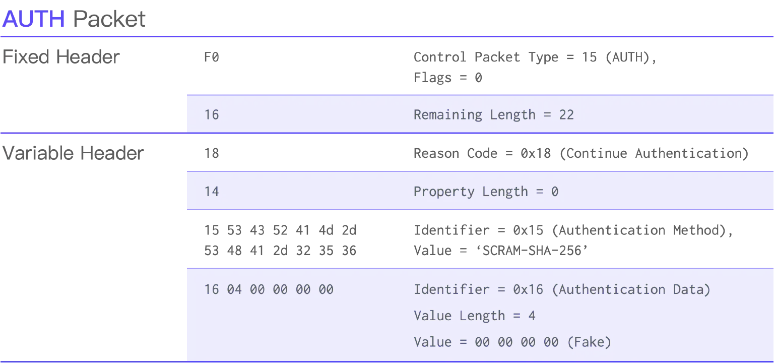AUTH Packet.png