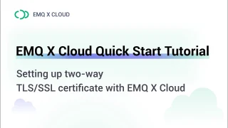 Setting up two-way TLS/SSL certificate with EMQX Cloud