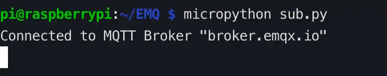 micropython sub