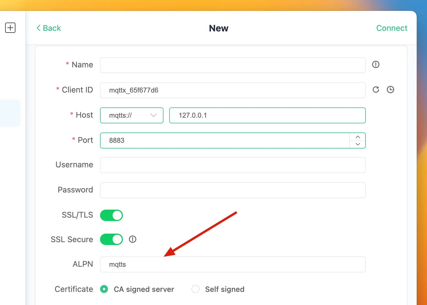 MQTTX 支持 ALPN 协议