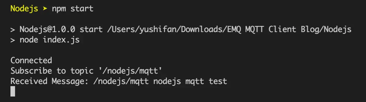 NodeJS MQTT Start