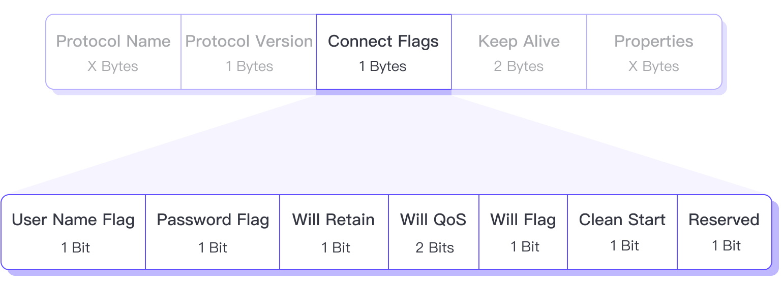 MQTT Connect Flags